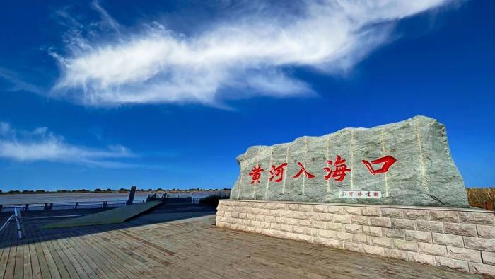 △黃河入?？谖挥谏綎|東營(yíng)市墾利區(qū)。(總臺(tái)央視記者彭漢明拍攝)