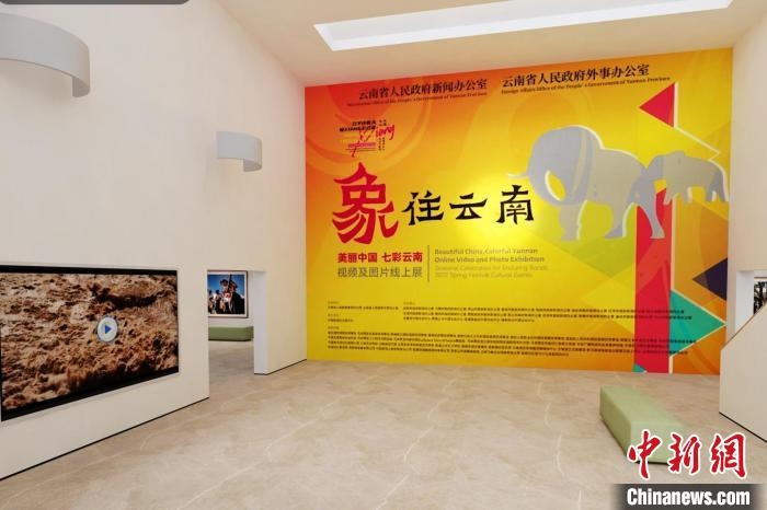 圖為“象”往云南——美麗中國 七彩云南視頻及圖片線上展截圖?！『h(yuǎn)航 攝