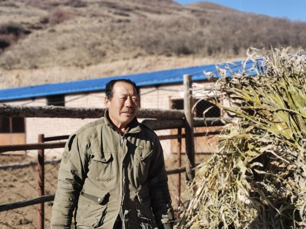 1月19日，山西省岢嵐縣脫貧戶呂如堂在牛圈前準(zhǔn)備草料。新華社記者 梁曉飛 攝