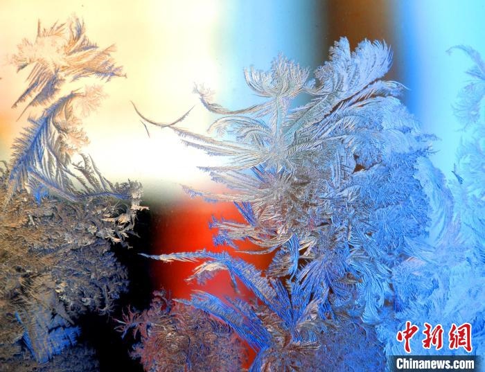 冰窗花千姿百態(tài)。　孫書程 攝