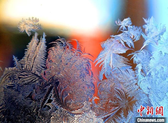 惟妙惟肖的冰窗花，似一幅風(fēng)景畫?！O書程 攝