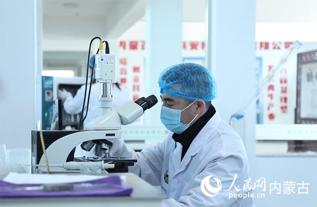 內(nèi)蒙古中農(nóng)興安種?？萍加邢薰韭鋺艨朴抑衅欤瑸槿馀．a(chǎn)業(yè)發(fā)展提供了優(yōu)質(zhì)的種源保障。白俊華攝