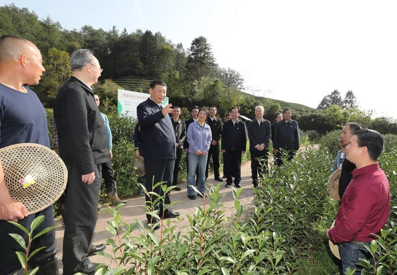 2021年3月22日，習近平總書記在福建南平武夷山市星村鎮(zhèn)燕子窠生態(tài)茶園，同科技特派員、茶農親切交流，了解當?shù)夭璁a業(yè)發(fā)展情況。