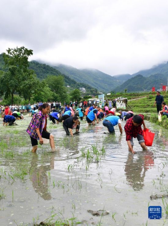 5月27日，秭歸縣九畹溪鎮(zhèn)農(nóng)民參加摸魚比賽。