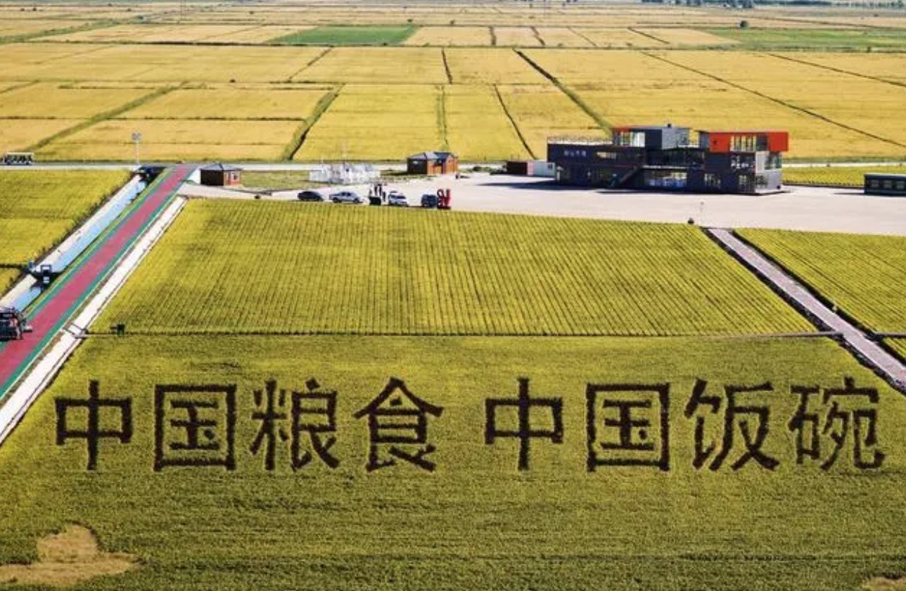 2022年9月2日，黑龍江省富錦市萬畝水稻科技示范園內(nèi)的稻田畫。