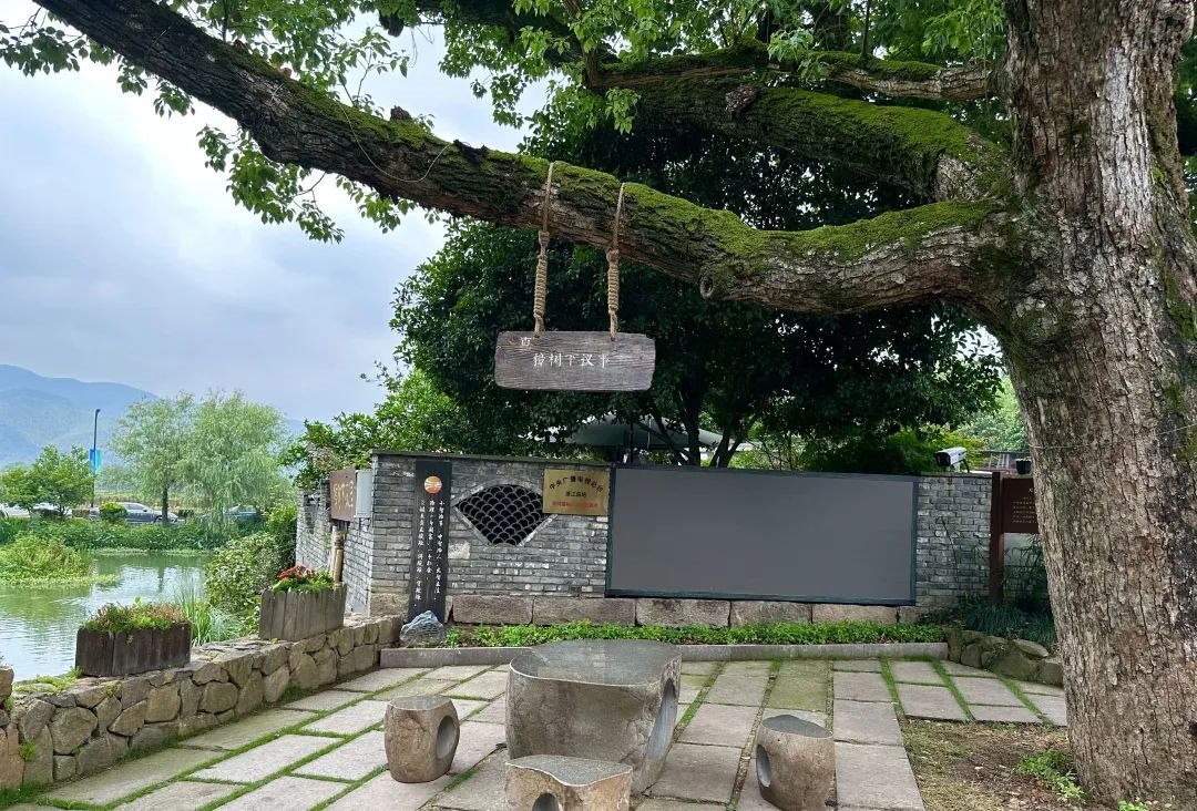 浙江省杭州市余杭區(qū)小古城村的“樟樹下議事”木制字牌。靜玄 攝