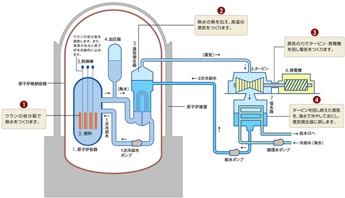 核電站運(yùn)作原理圖。通常的核電站排水未直接接觸核燃料。（圖片來(lái)源：日本北海道電力株式會(huì)社網(wǎng)站）