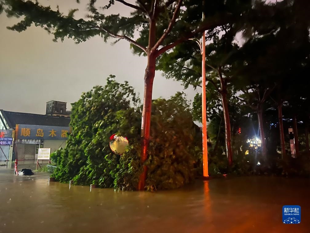 7月17日晚，在廣東湛江海濱大道北，路邊的樹木被風刮倒（手機照片）。新華社記者 鄧華 攝
