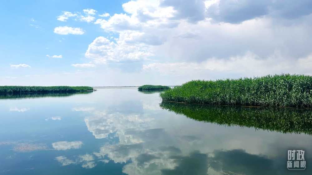 內(nèi)蒙古烏梁素海，是黃河流域最大的湖泊濕地。（總臺央視記者范一鳴拍攝）