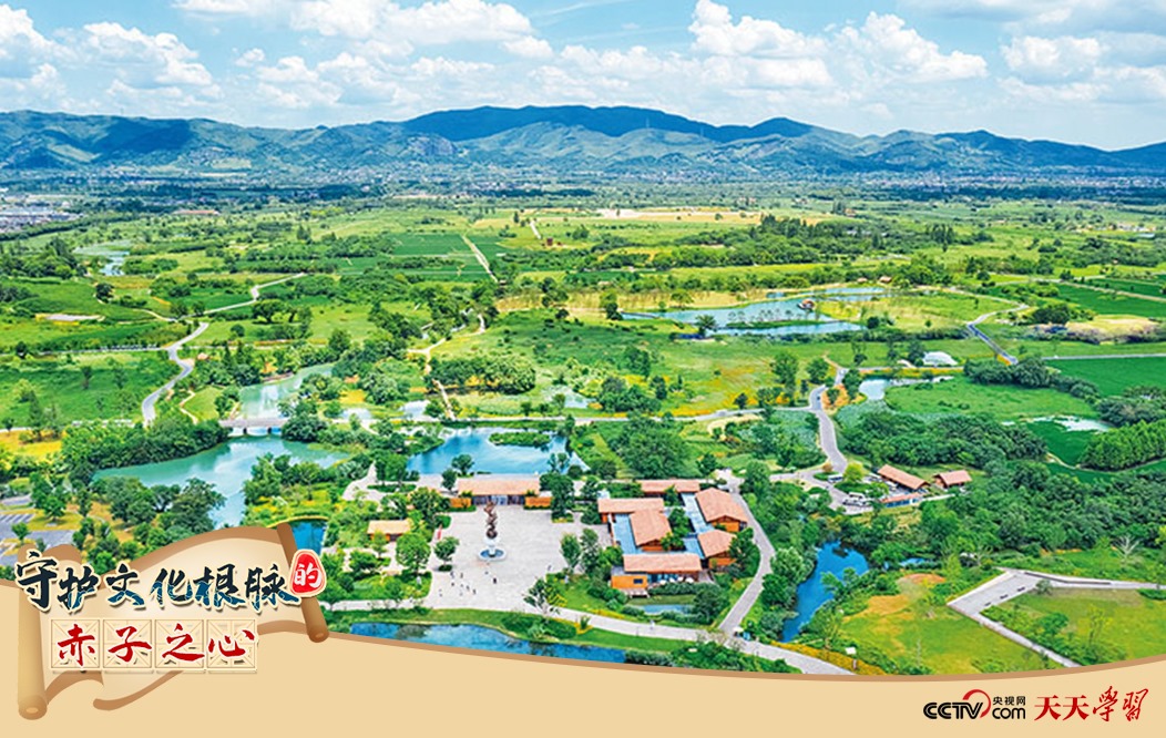 圖為2021年7月拍攝的良渚古城遺址公園。
