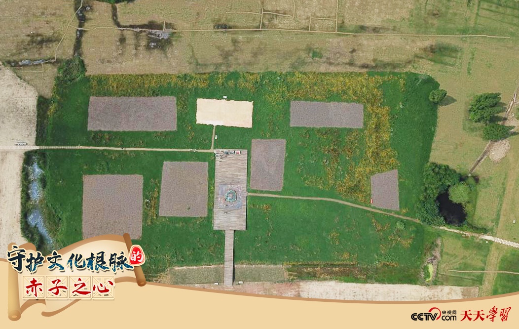 2019年6月23日無人機(jī)拍攝的良渚國家考古遺址公園的宮殿區(qū)。