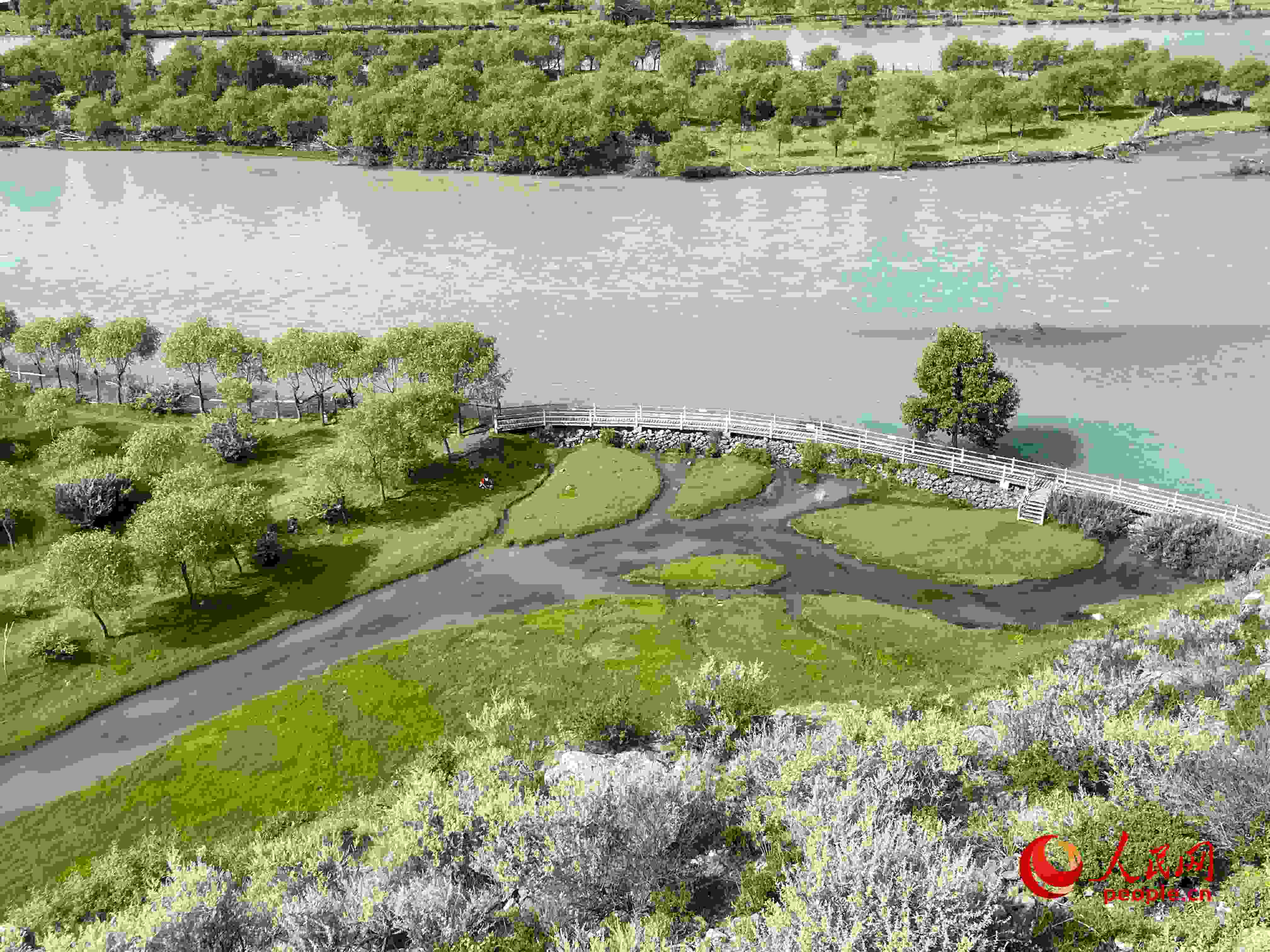夏日的雅尼國家濕地公園生機盎然，如詩如畫。人民網(wǎng) 周靜圓攝