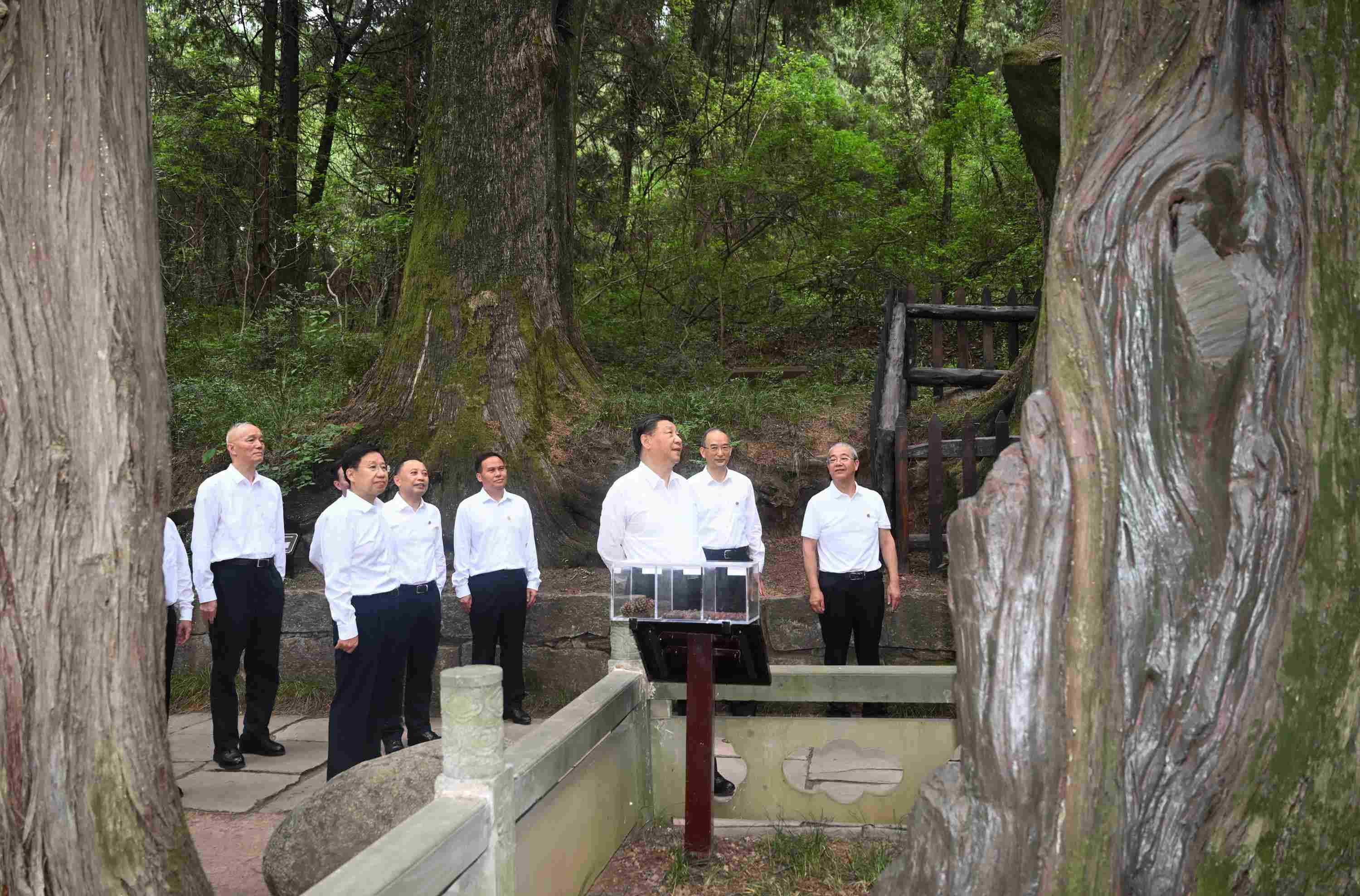 △2023年7月25日，習(xí)近平總書記在四川省廣元市考察了翠云廊古蜀道，了解當(dāng)?shù)赝七M(jìn)歷史文化傳承、加強(qiáng)生態(tài)文明建設(shè)等情況。