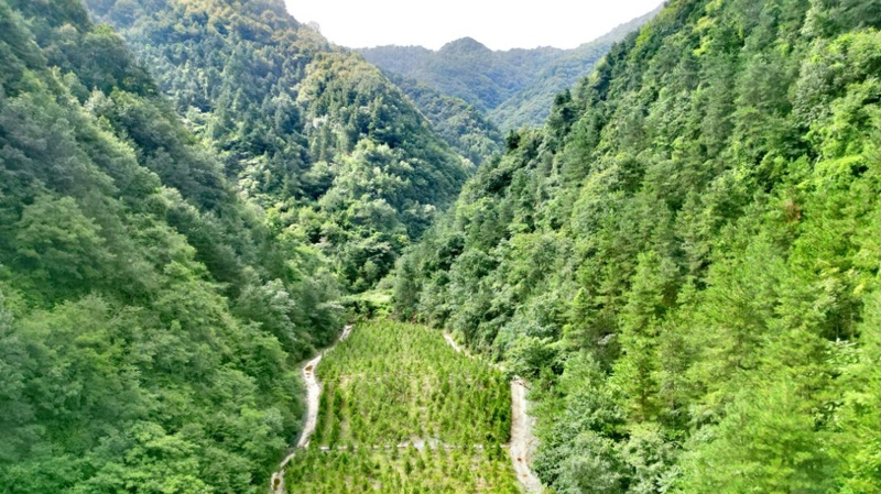建設(shè)中的西氣東輸三線中段。受訪者供圖
