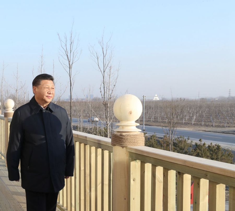 2019年1月16日，習(xí)近平在河北雄安新區(qū)考察調(diào)研。在“千年秀林”大清河片林一區(qū)造林區(qū)域，習(xí)近平登上秀林驛站二層平臺遠(yuǎn)眺林區(qū)全貌。