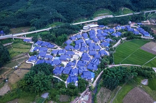 磨憨鎮(zhèn)曼莊村大龍哈小組現(xiàn)代化邊境幸福村新貌。人民網(wǎng)記者 符皓攝