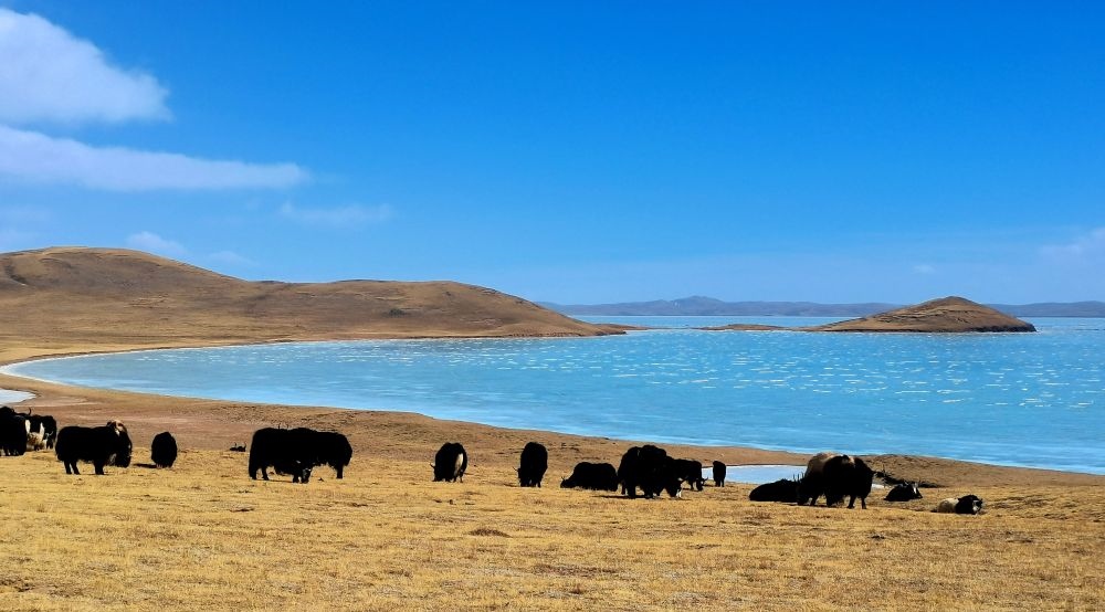 在三江源國家公園黃河源園區(qū)拍攝的扎陵湖風(fēng)光（2022年3月12日攝）。新華社記者 呂雪莉 攝