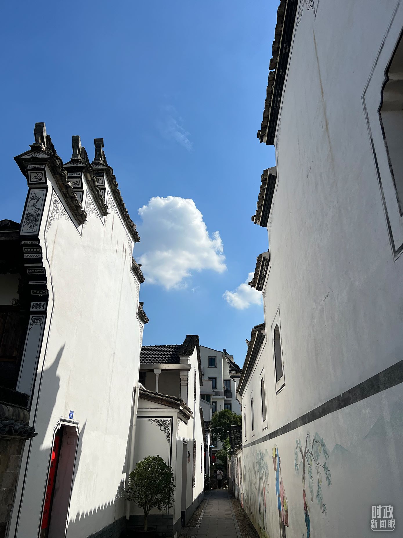 △浙江省金華市義烏市后宅街道李祖村。（總臺(tái)央視記者李煒拍攝）
