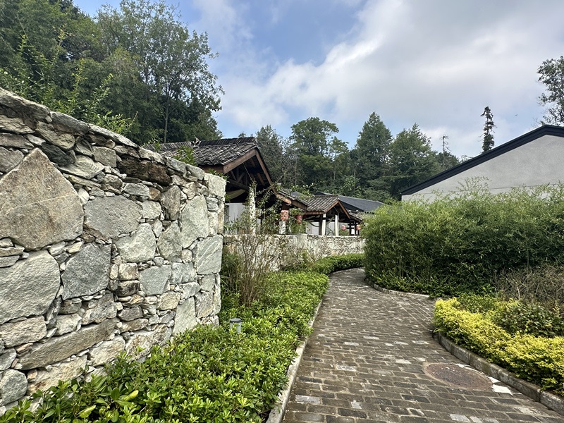 眾多民宿坐落于夫子山山麓。人民網(wǎng) 王紹紹攝