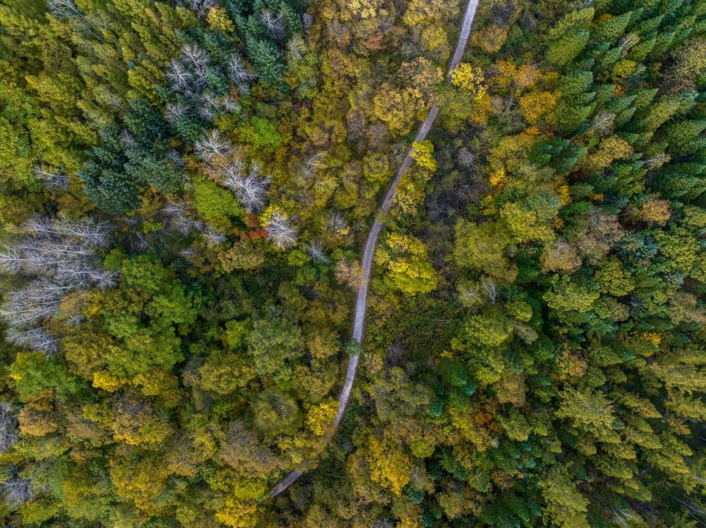 綠意盎然的長白山地區(qū)。王哲攝
