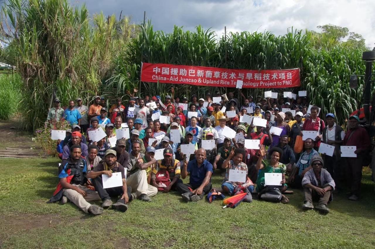 △2020年12月17日，在巴布亞新幾內(nèi)亞?wèn)|高地省，參加中國(guó)援助巴新菌草和旱稻技術(shù)項(xiàng)目第9期培訓(xùn)班的當(dāng)?shù)孛癖娬故窘Y(jié)業(yè)證書(shū)。