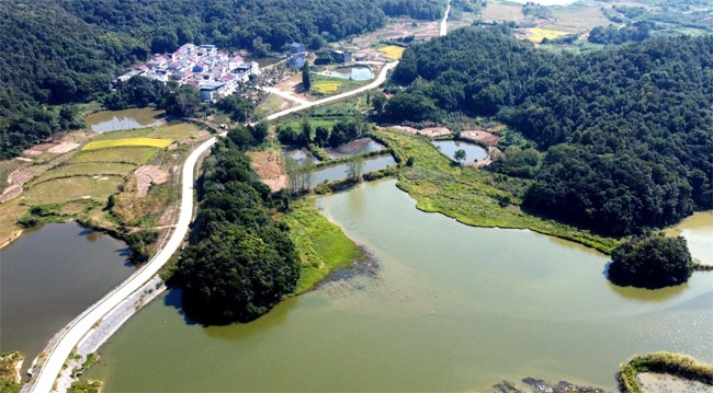 楊金龍用手機拍攝的道路全景。受訪者供圖