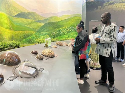  （在中國藥都中醫(yī)藥博物館，外媒記者了解中醫(yī)藥發(fā)展史。中國經(jīng)濟周刊記者 郭志強 攝）