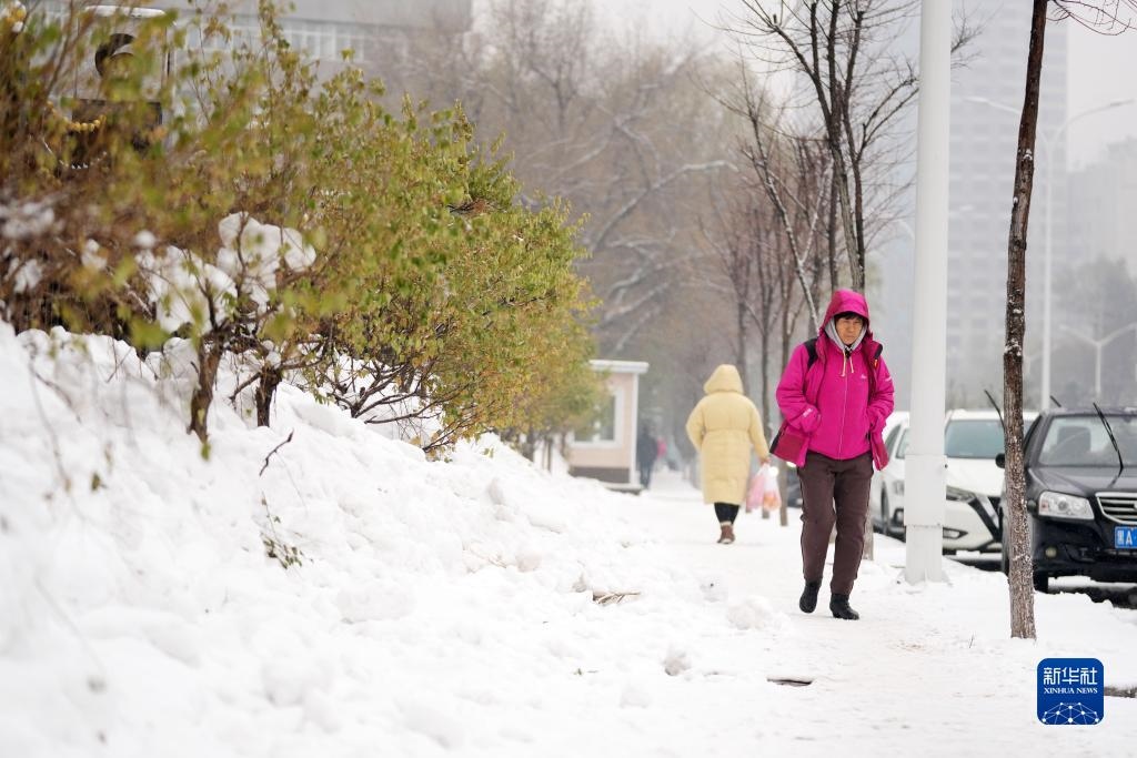 11月16日，市民在雪中前行。當(dāng)日，黑龍江哈爾濱市迎來雨雪天氣。新華社記者 王建威 攝