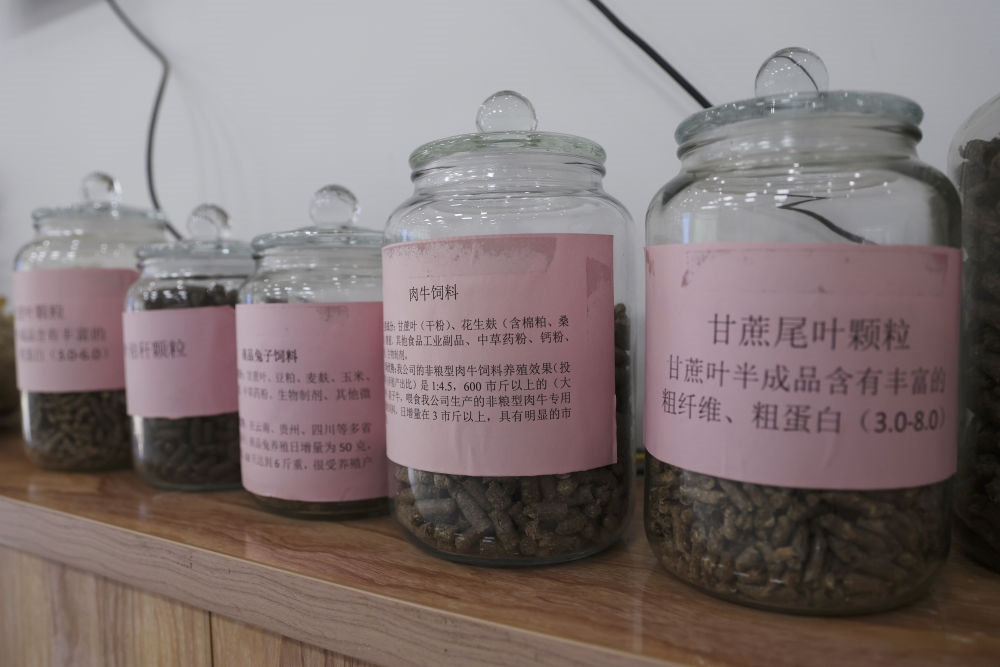 這是12月13日在來(lái)賓市興賓區(qū)小平陽(yáng)鎮(zhèn)一家飼料廠拍攝的以甘蔗尾葉為原料制成的飼料。