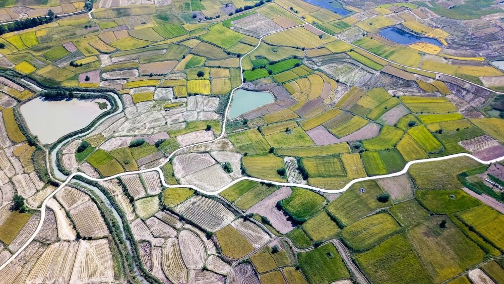 安徽省鳳陽縣小崗村的田野景象（2018年9月27日攝，無人機(jī)照片）。新華社記者 張端 攝