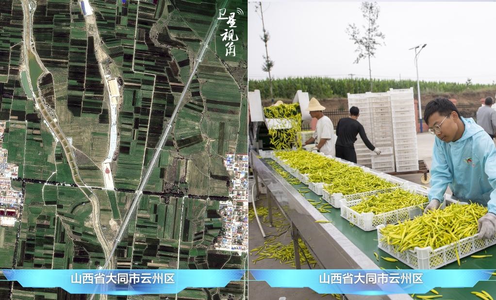 當(dāng)前，大同市開發(fā)黃花菜品、食品、飲品、功能食品、化妝品、文創(chuàng)產(chǎn)品六大系列130余種，全產(chǎn)業(yè)鏈產(chǎn)值超40億元。