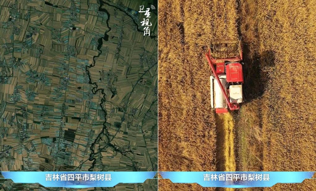 隨著現(xiàn)代化農(nóng)機普及應(yīng)用，保護性耕作“梨樹模式”得以大面積推廣，不僅使黑土地保護與利用持續(xù)深入，更為糧食作物高產(chǎn)穩(wěn)產(chǎn)助力。