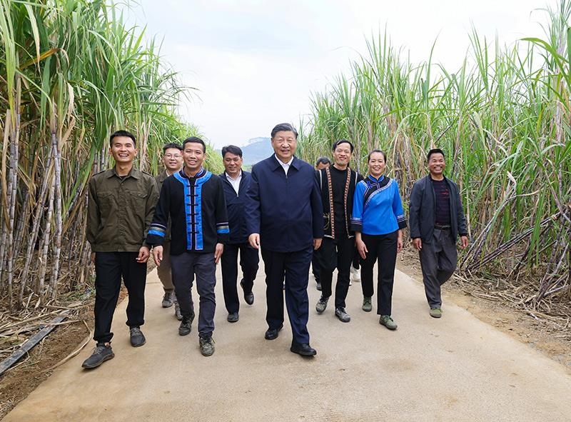 2023年12月14日，習近平總書記在廣西來賓市國家現(xiàn)代農(nóng)業(yè)產(chǎn)業(yè)園黃安優(yōu)質“雙高”糖料蔗基地考察。