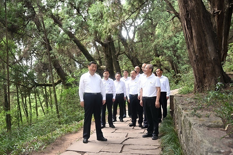2023年7月25日，習(xí)近平總書記在四川廣元市劍閣縣翠云廊考察。新華社記者 謝環(huán)馳 攝