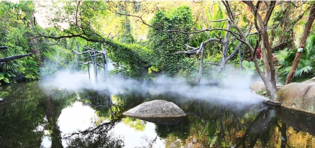 △鼓浪嶼-萬(wàn)石山風(fēng)景名勝區(qū)重要組成部分廈門園林植物園熱門景點(diǎn)“雨林世界”。