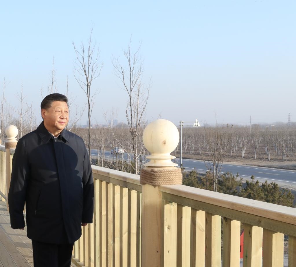 2019年1月16日，在河北雄安新區(qū)“千年秀林”大清河片林一區(qū)造林區(qū)域，習近平總書記登上秀林驛站二層平臺遠眺林區(qū)全貌。新華社記者 鞠鵬 攝