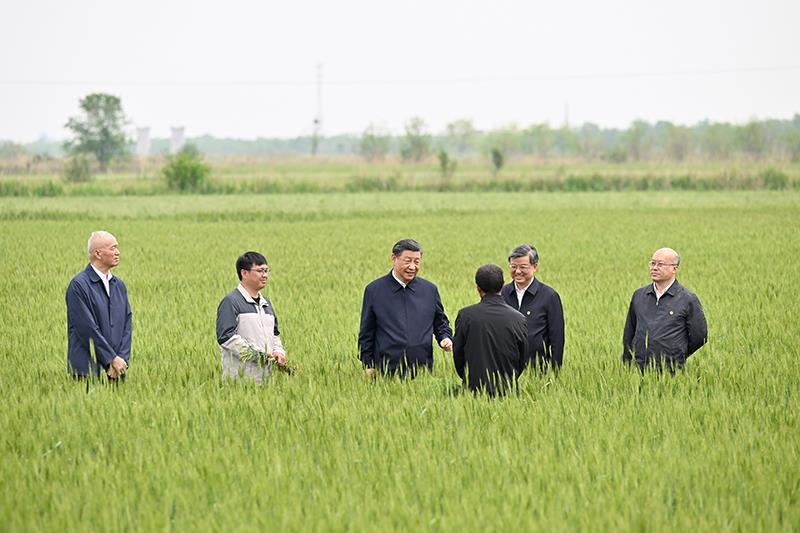△2023年5月11日，習(xí)近平總書記在河北滄州黃驊市舊城鎮(zhèn)仙莊片區(qū)旱堿地麥田同種植戶、農(nóng)技專家親切交流。