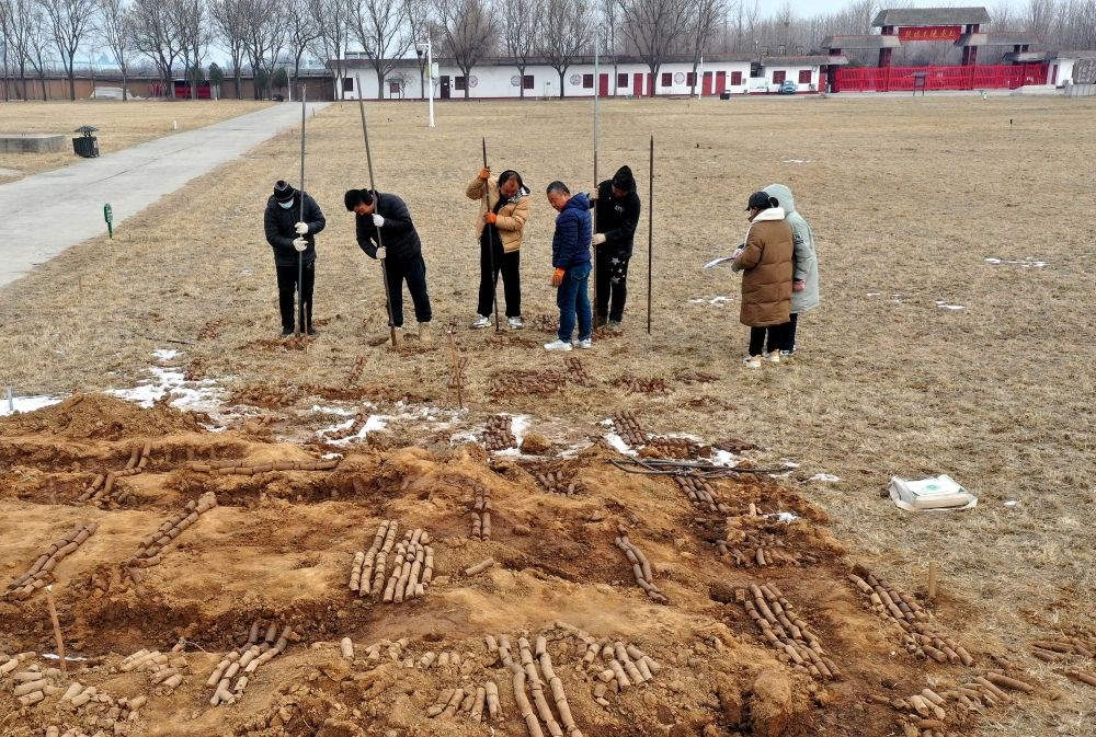在殷墟王陵遺址，工作人員在勘探圍溝范圍（2月24日攝）。