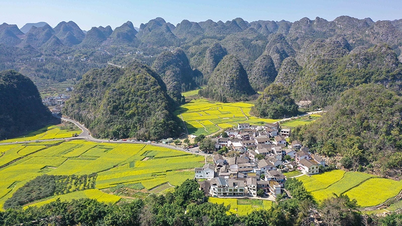 2024年2月17日，貴州省興義市萬峰林景區(qū)的油菜花海景色（無人機(jī)照片）。