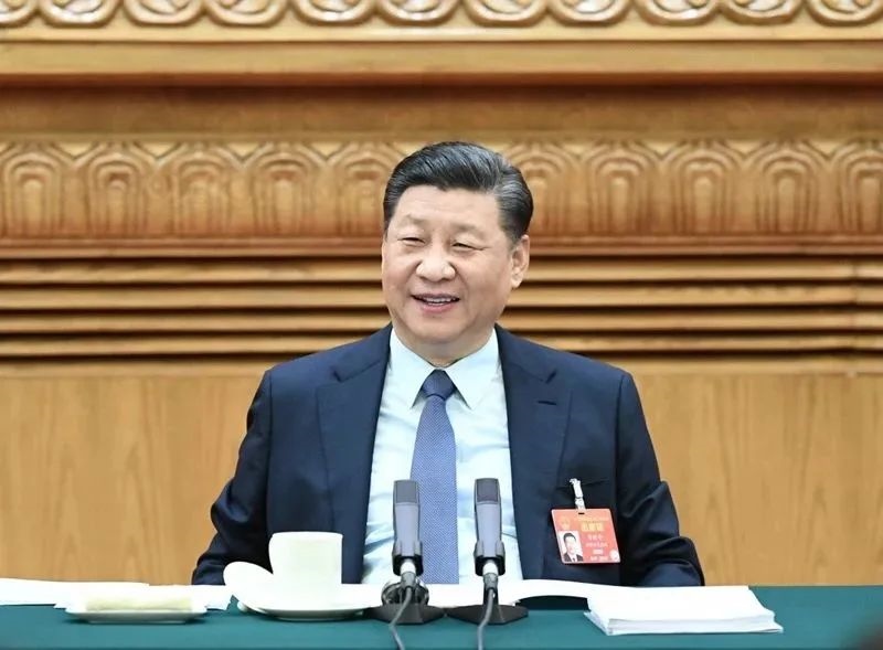 2019年3月8日，習(xí)近平參加十三屆全國人大二次會議河南代表團(tuán)的審議。新華社記者 謝環(huán)馳 攝