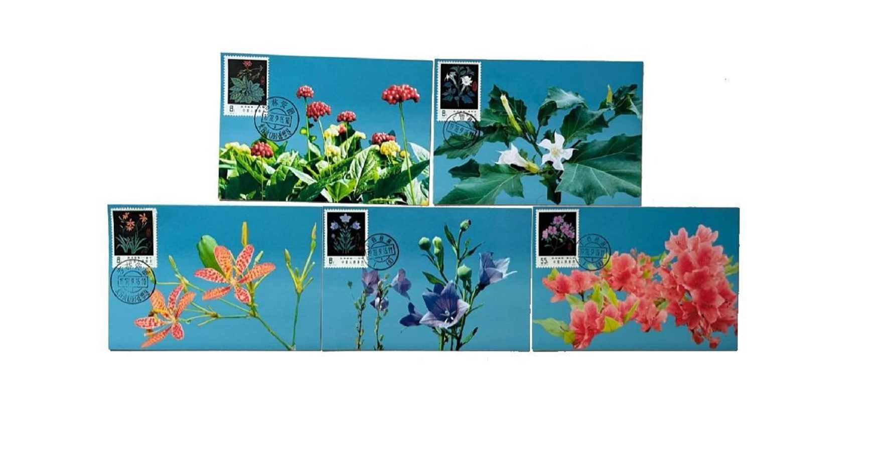 首套藥用植物極限片。第七屆阿聯(lián)酋集郵展主辦方供圖