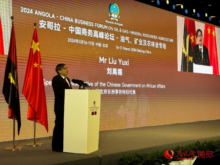 中國(guó)政府非洲事務(wù)特別代表劉禹錫。人民網(wǎng)記者 張榮攝
