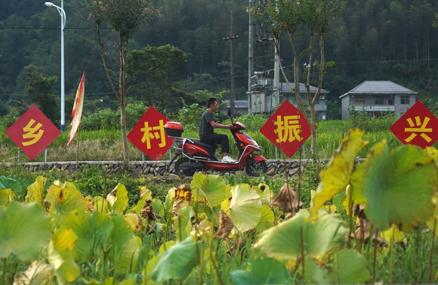 2023年8月24日拍攝的江西省靖安縣璪都鎮(zhèn)港背村一景。該村在當(dāng)?shù)卣С窒?，修古建，建民宿，搞開發(fā)，引進(jìn)竹筏漂流、觀光采摘、農(nóng)耕體驗(yàn)、森林研學(xué)等多種旅游業(yè)態(tài)，建成新田園生態(tài)度假小鎮(zhèn)，發(fā)展鄉(xiāng)村旅游，走上致富路。