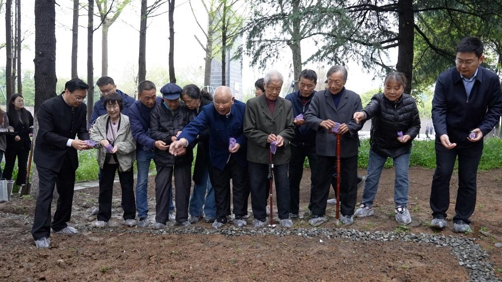 南京大屠殺幸存者代表、死難者遺屬代表等在紀念館的和平公園里，播撒下紫金草的種子。新華社記者林凱 攝