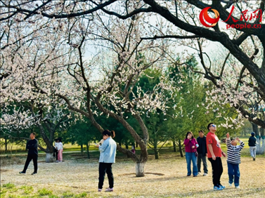 游客在北京長陽公園賞花。人民網(wǎng)記者 劉微攝