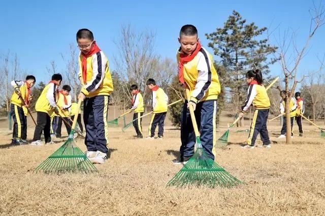 △2024年3月12日，北京城市綠心森林公園，參加植樹節(jié)主題活動的學(xué)生們學(xué)習義務(wù)植樹知識，并進行現(xiàn)場撫育管護。