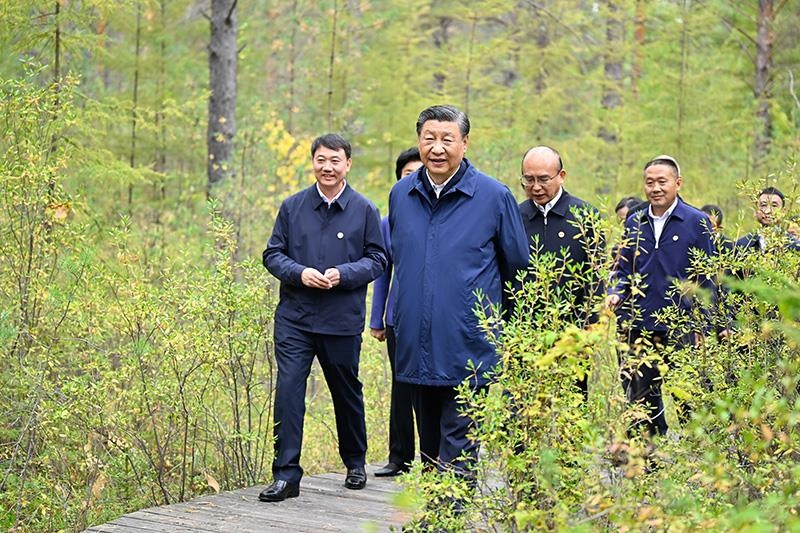 △2023年9月6日，習近平總書記在大興安嶺地區(qū)漠河市漠河林場自然林區(qū)考察。