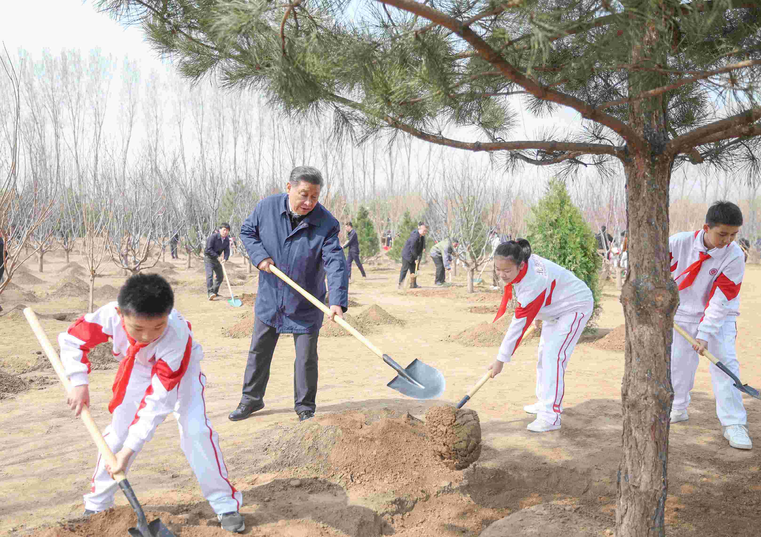2024年4月3日，習(xí)近平總書記來到北京市通州區(qū)潞城鎮(zhèn)參加首都義務(wù)植樹活動(dòng)。