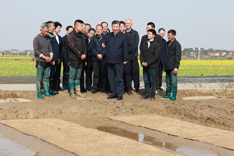 △2024年3月19日，在湖南常德市鼎城區(qū)謝家鋪鎮(zhèn)港中坪村，習(xí)近平總書記走進(jìn)田間，察看秧苗培育和春耕備耕進(jìn)展。