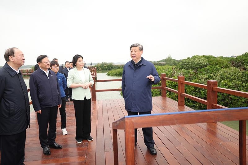 △2023年4月10日，習近平總書記在廣東湛江市麻章區(qū)湖光鎮(zhèn)金牛島紅樹林片區(qū)考察。